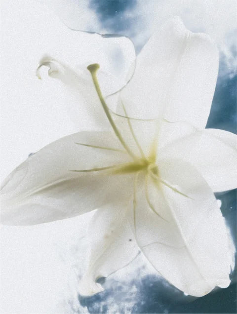 Marcival Hill Ultra Sensitive Körpercreme
